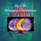 Aquarismo para Todos