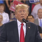 Why Does Trump Want Names Of Everybody Investigating Him, It Is A Witness Intimidation Treason Mystery!