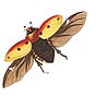 The Bugeater's avatar