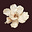 Shambhavi's avatar