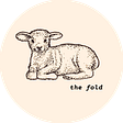 The Fold's avatar