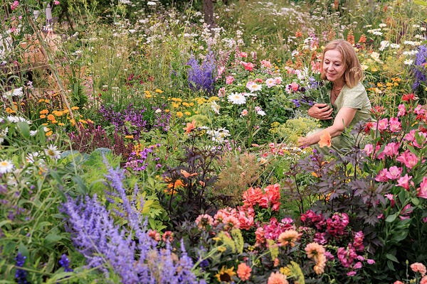 The Gardening Mind by Jo Thompson | Substack