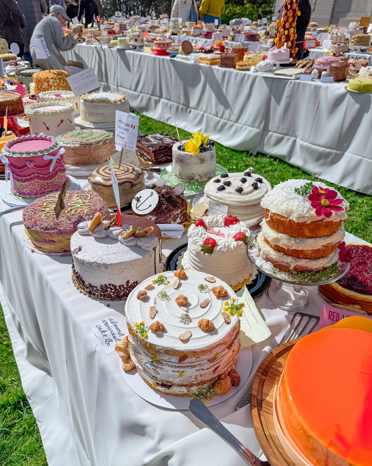 Let Them Eat Cake ✨

Moments from Saturday’s @cakepicnictour that I can’t forget about.

Can you find my almond croissant cake?
🌰🥐🎂

#marchdump #cakepicnic #homemadecake #letthemeatcake #croissant #almondcroissant