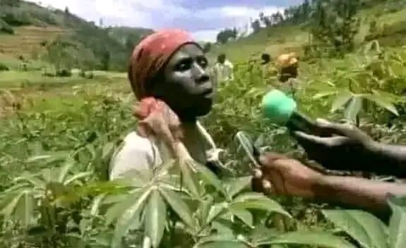 May be an image of 1 person May be an image of 1 person