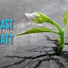 A Different Past Would've Changed You — So What?