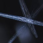 THE FUTURENESS Ch21: Mexican Diamond