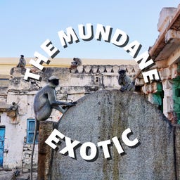 The Mundane Exotic