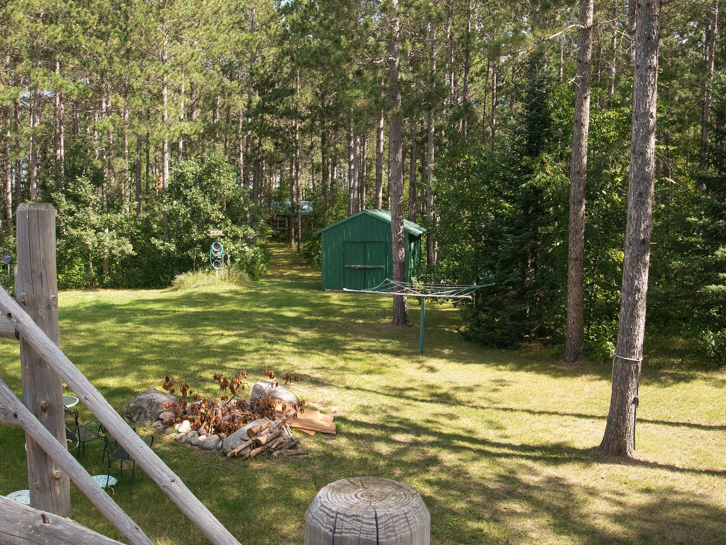 Landscape of a bonfire pile and green shed, lots of pines and shadows of trees