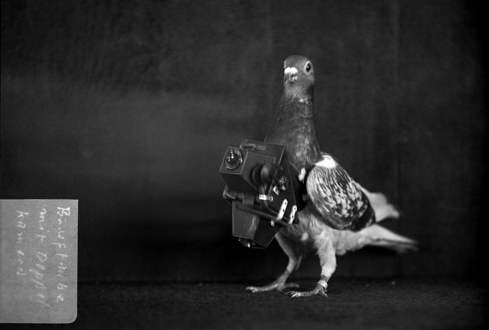 One of Neubronner’s pigeon photographers.