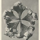 So viel mehr - Ein Gedicht