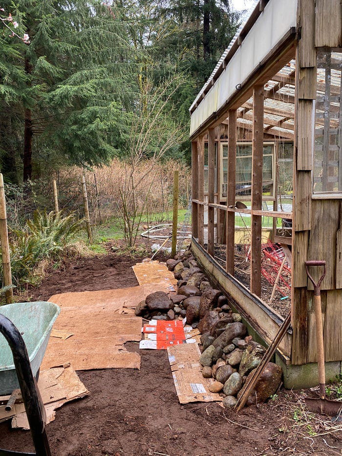 A large wall of rocks sits on top of cardboard against the back wall of a structure.
