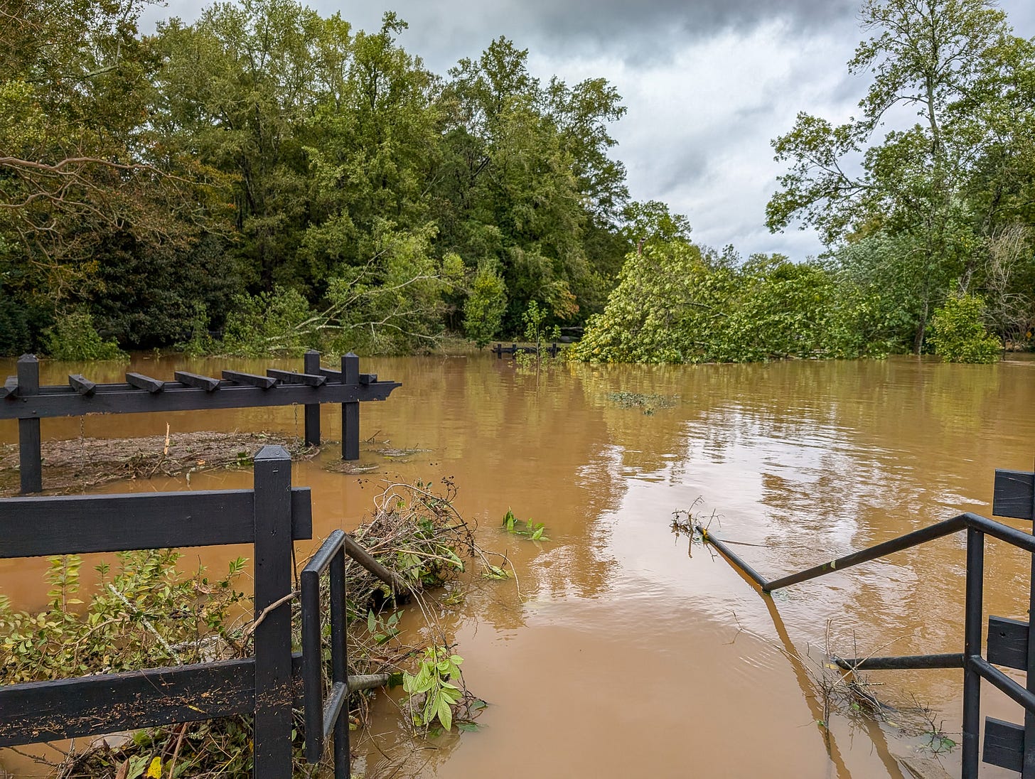 A flooded park, with stairs, public facilities, and trees all submerged in brown water