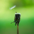 Back to School - Day II