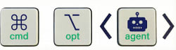 [cmd] + [opt] + <agent>