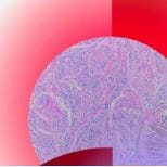 Self Health with Andrea Nakayama