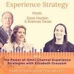 The Experience Strategist