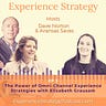The Experience Strategist