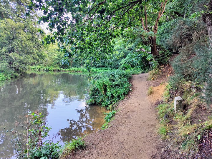 A sandy slope, leading down to the River Wey, near Guildford