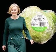 Yes, a head of lettuce outlasted Liz Truss