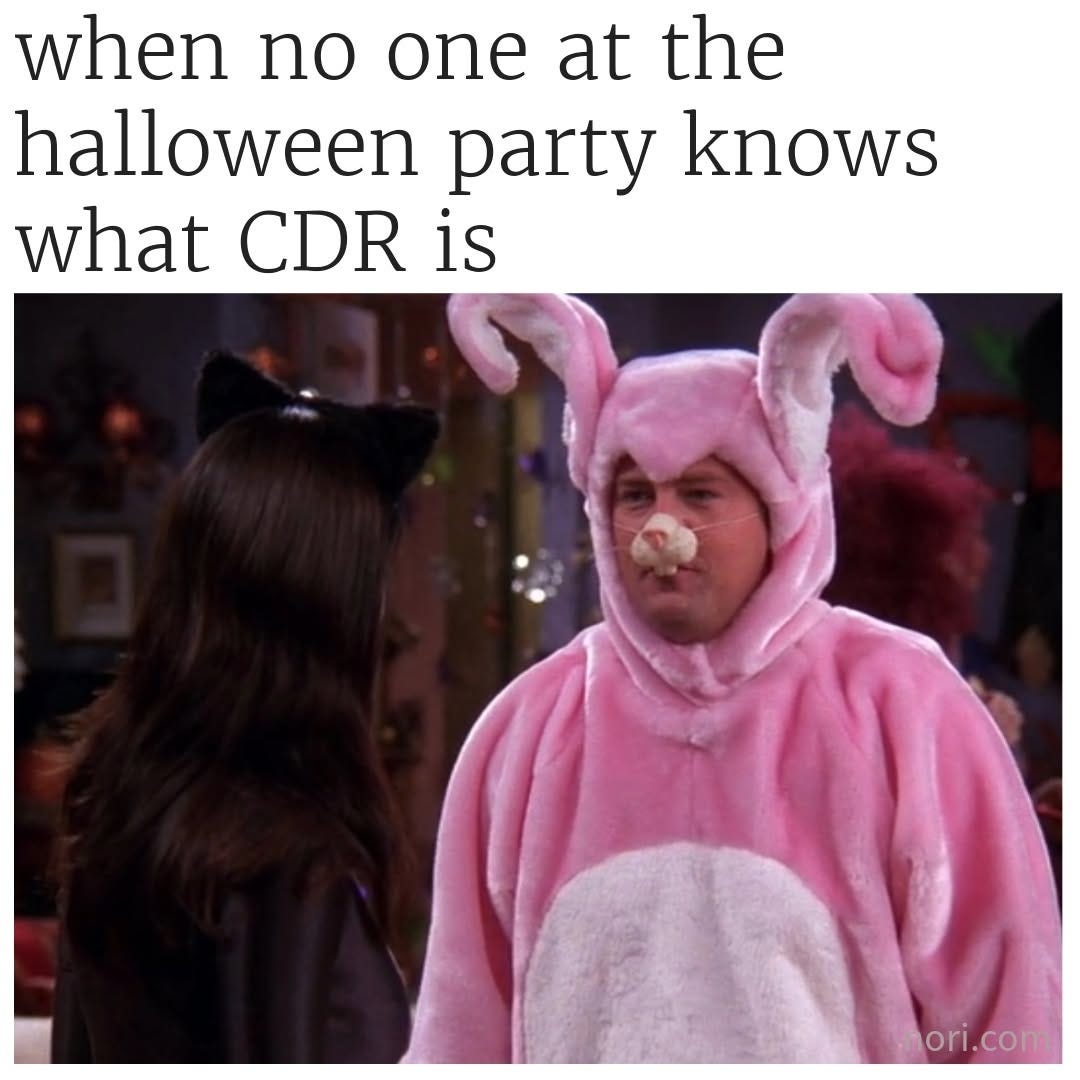 Chandler from Friends in a pink bunny costume, under the text "when no one at the halloween party knows what CDR is".