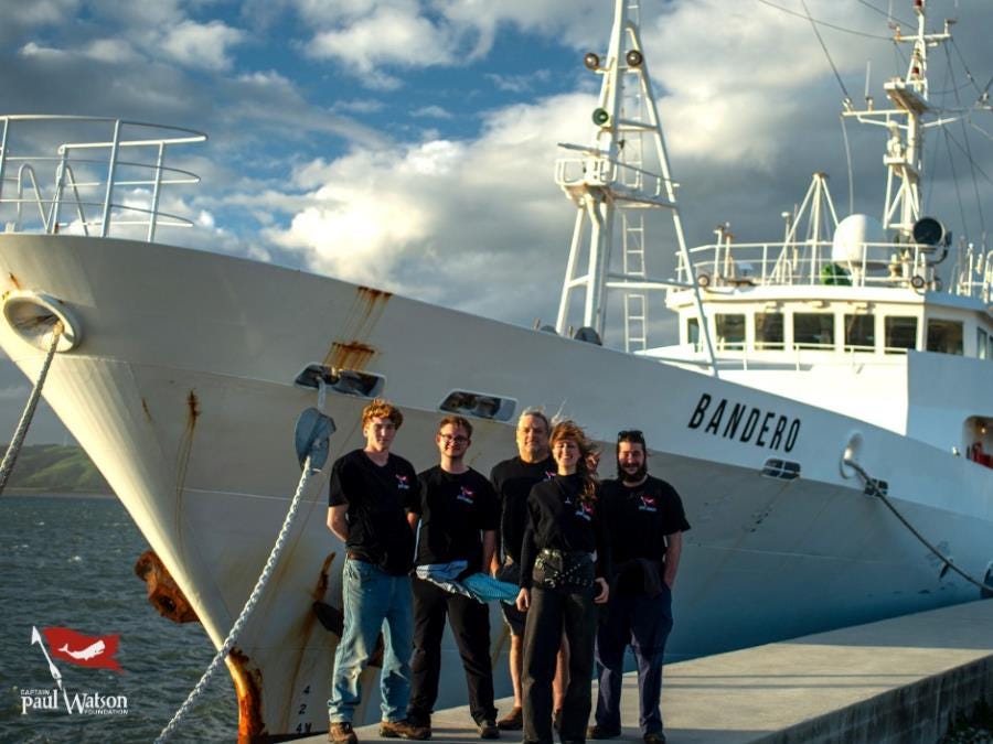 Volunteer For Ocean Conservation Volunteer For Ocean Conservation