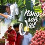 chonongsan's avatar