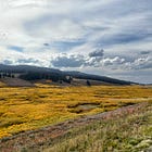 Land Lookout 2k26
