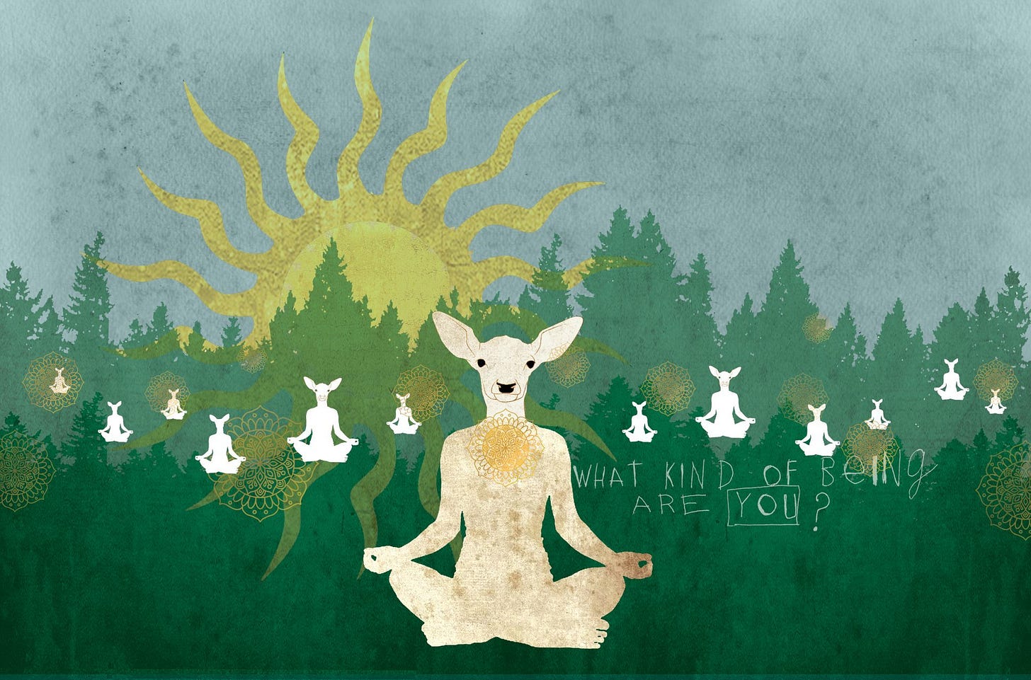 Illustrations by Austin Hughes | The Sitting Cure Suffering and awareness in meditation and psychoanalysis. BY LUCAS McGRANAHAN