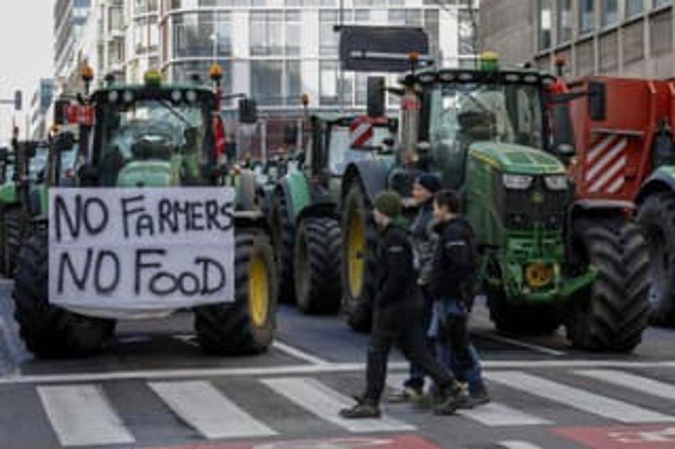 Slovak farmers in Brussels are striking against what Slovakia has caused?