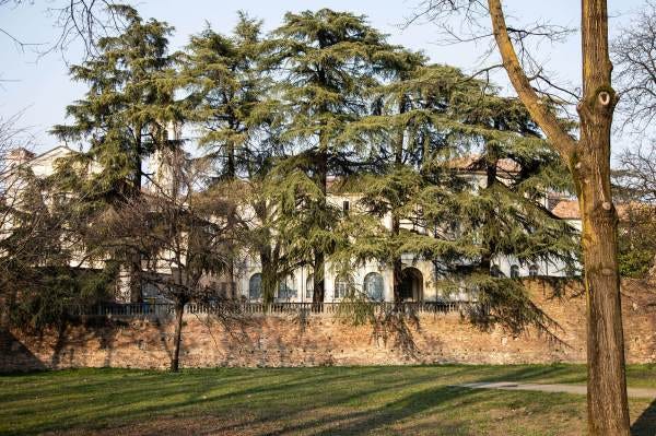 L'Istituto Pacioli a Crema (Cr), visto dal Campo di Marte, il luogo scelto da Benedetta per il suo ritratto per il progetto “Donne di Crema” (C)Monica Monimix Antonelli