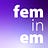 FemInEM