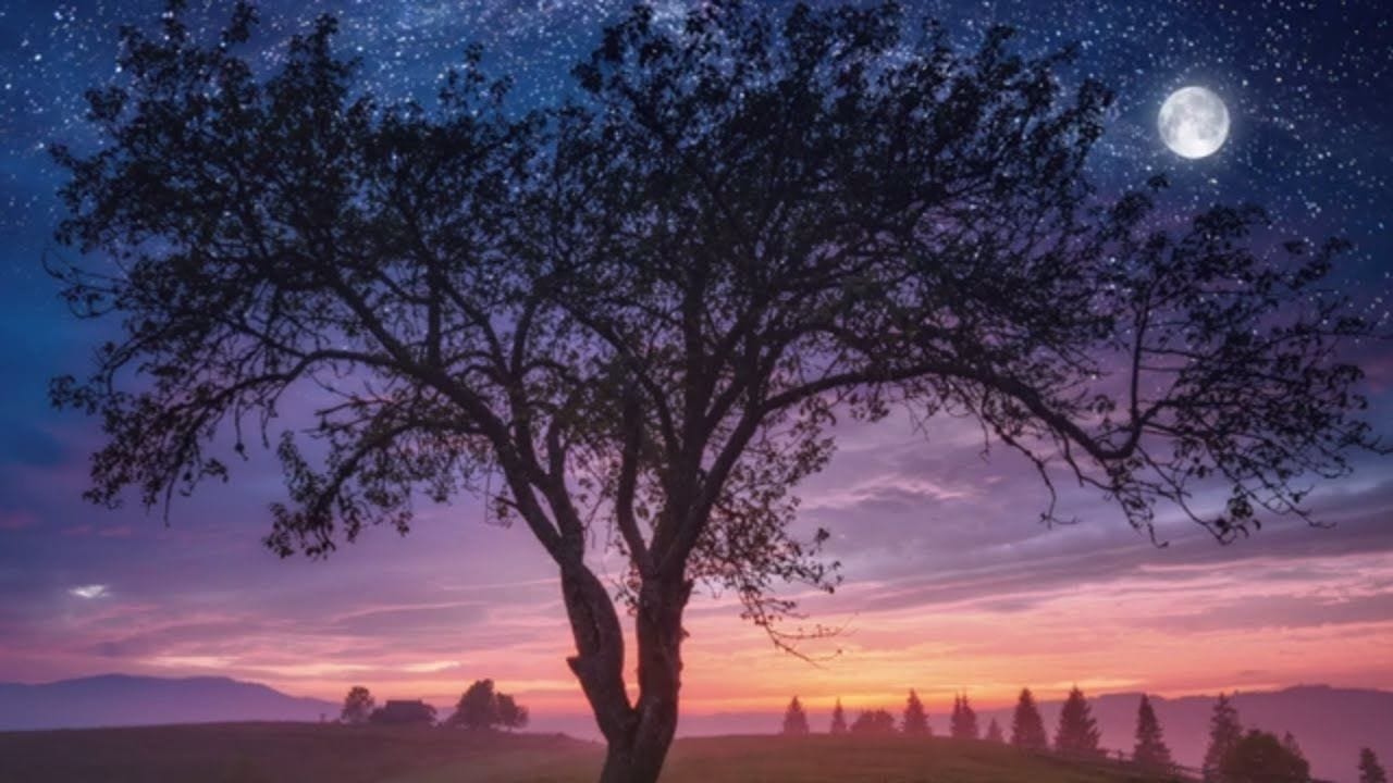 Deep Sleep â™¡ Beautiful Nature, Healing Calm Relaxation, Heavenly Peace, Natural  Calm â˜… 37 - YouTube | Natural calm, Beautiful nature, Calming music