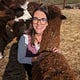 Life Among the Alpacas