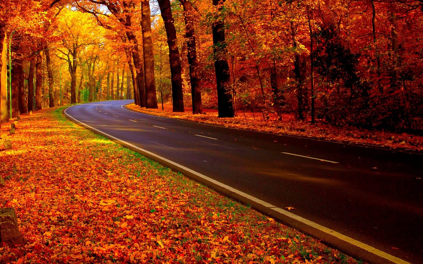 autumn road
