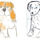 Puppies Drawing Session 