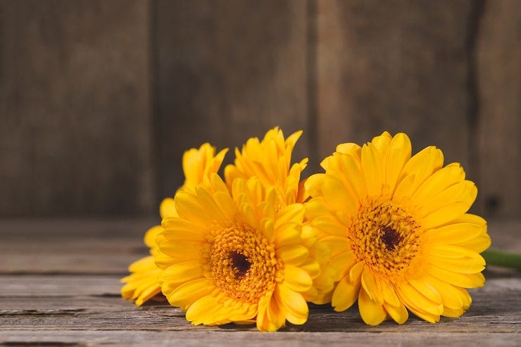 Page 36 | Yellow flower clipart Images - Free Download on Freepik
