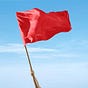 THE FLAG's avatar