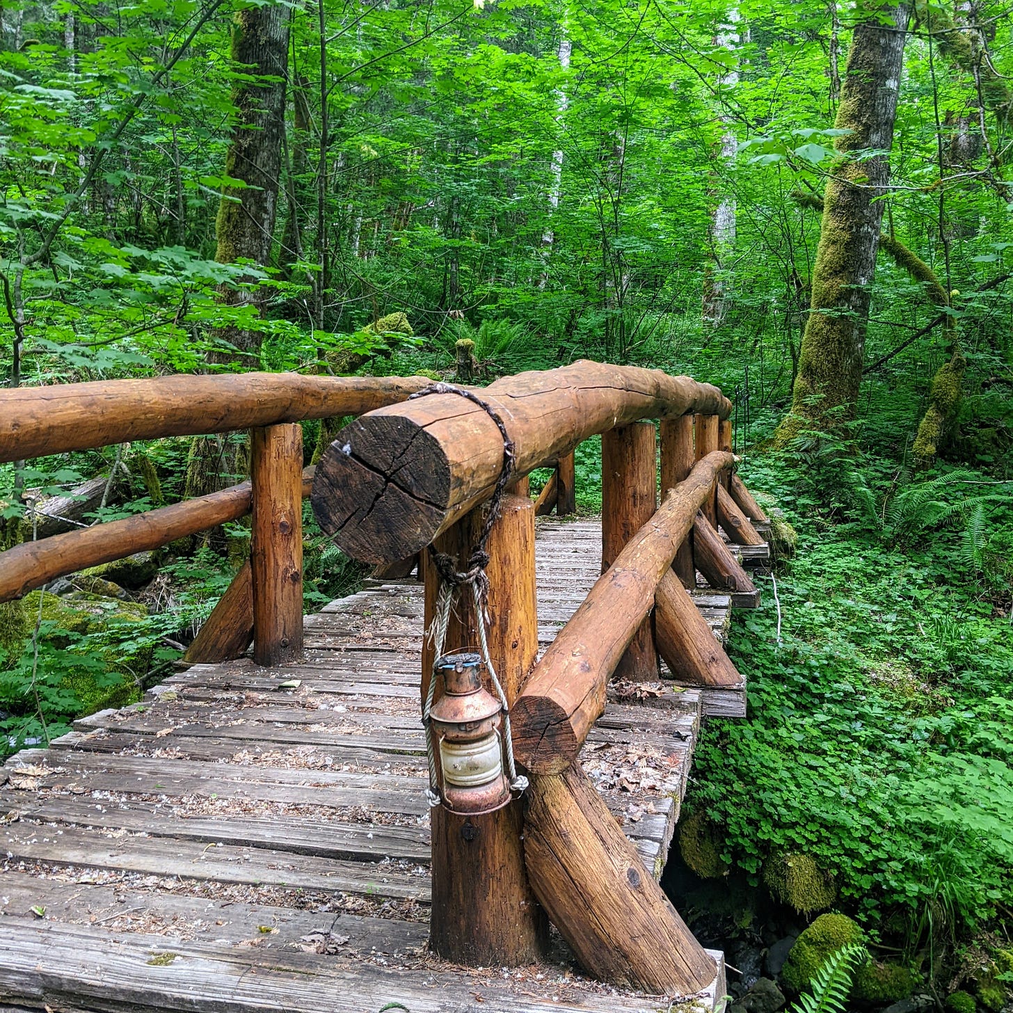 a wooden bridge and a lamp in the middle of the forest