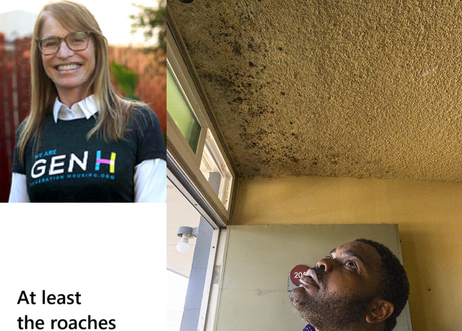 Generation Housing CEO Transformed the Palms Inn Into Roach & Mold-Infested Homeless Housing Abundant With Dead Bodies