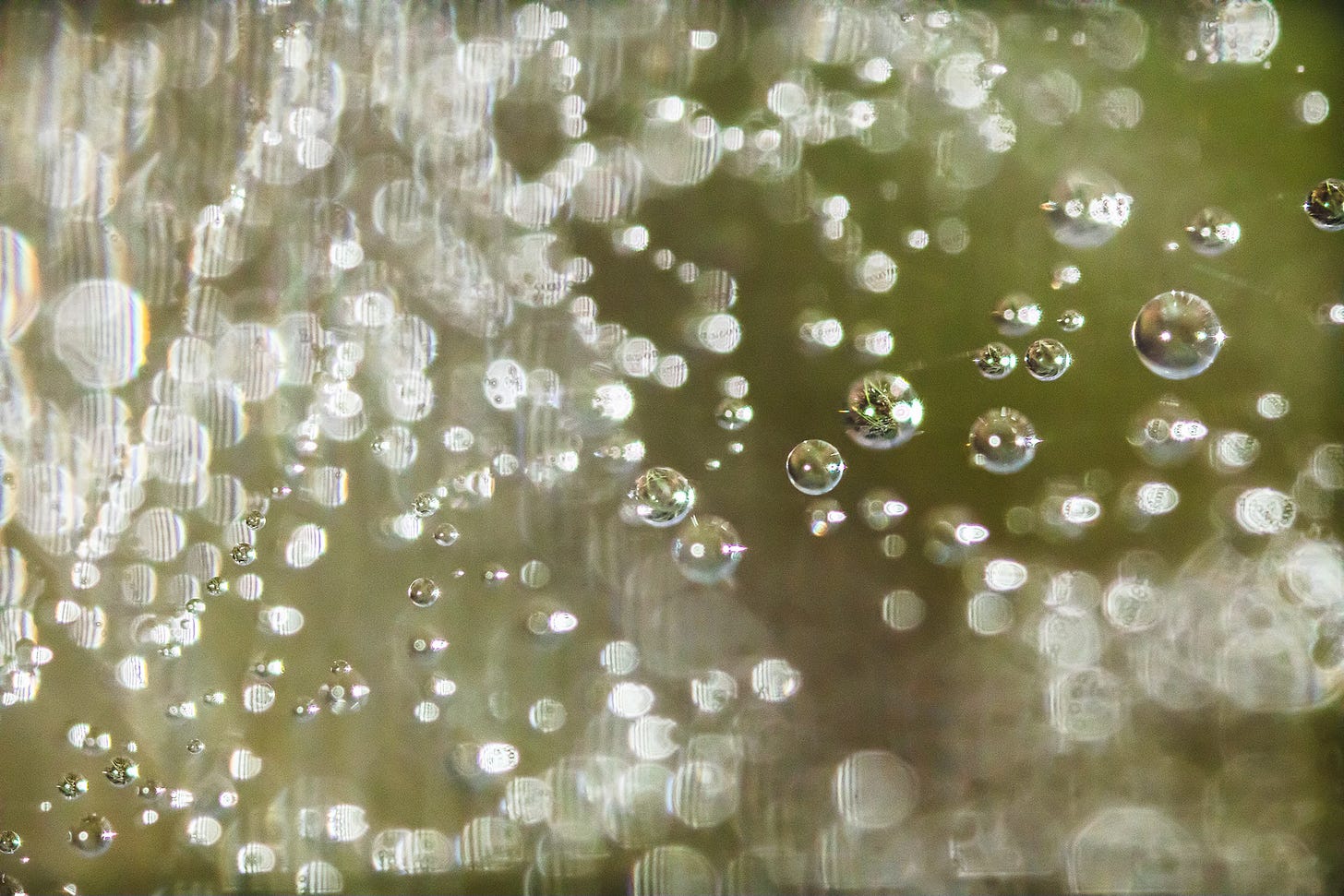 photography of water droplets stuck in a spider web with light bokeh refractions