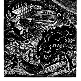 Virginia deS. Litchfield - 9 Woodcuts (1928-32)