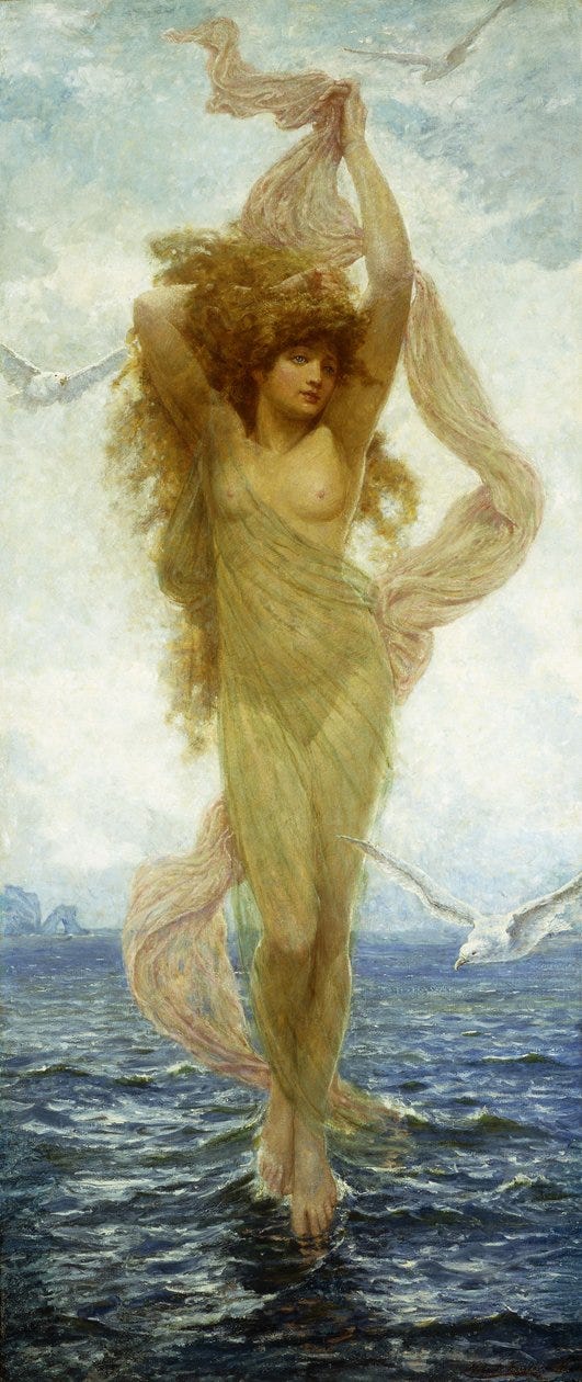 The Birth of Venus by Robert Fowler