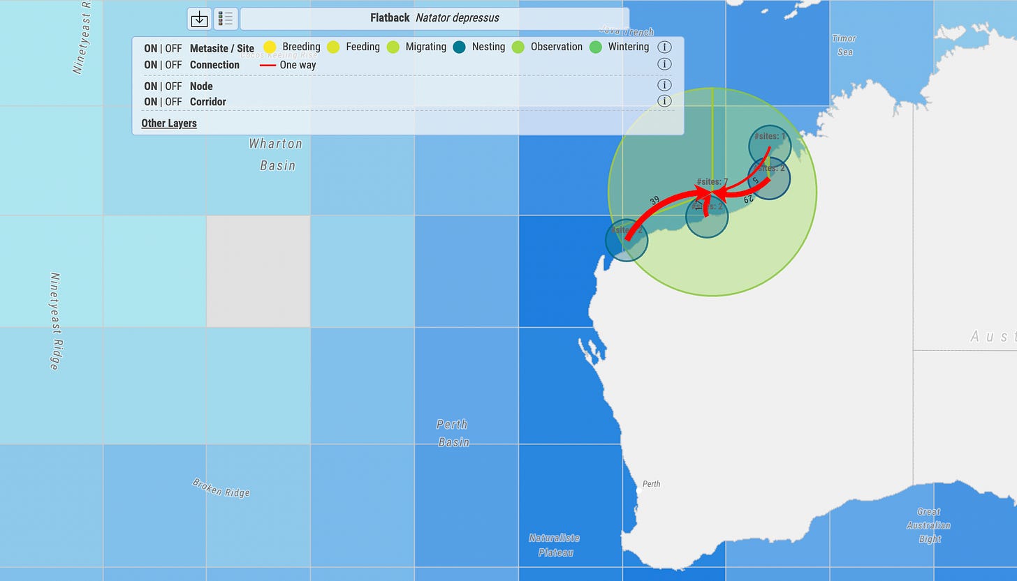 Global map showing, through red arrows, the migration patterns of Flatback Turtles