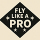 Fly like a Pro