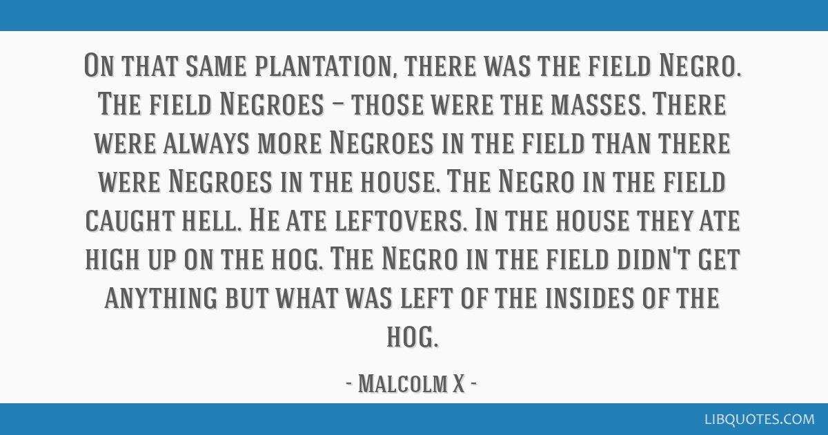 On that same plantation, there was the field Negro. The...
