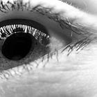 Looking Beyond: Unraveling the Allegory in Saramago's 'Blindness'