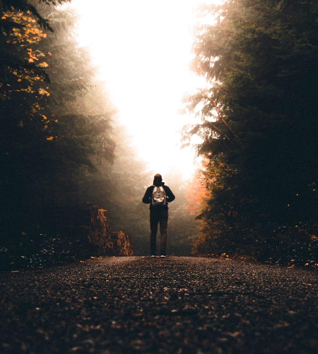 man person standing between tall trees