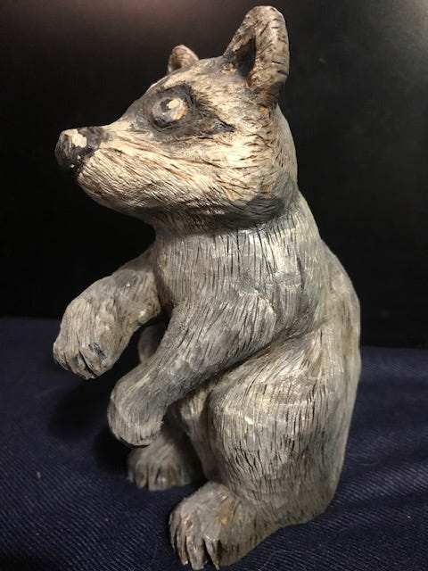 Raccoon by Janet Wolfinger
