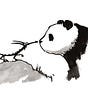 Panda Existencialista Magazine's avatar