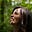 Oona Nijland's avatar